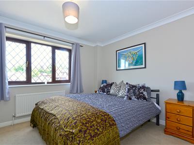 Picture 19